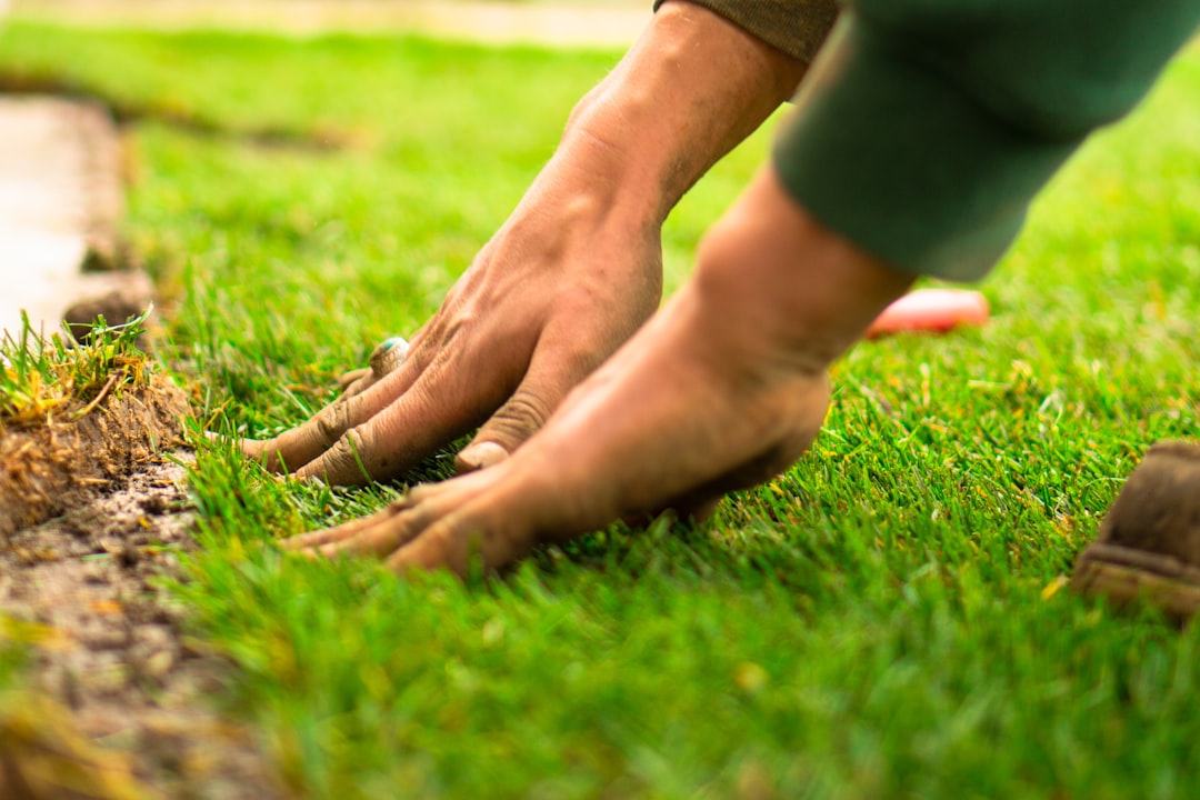 Landscaper installing new lawn, representing landscaping company marketing. Photo by FRAEM GmbH on Unsplash.